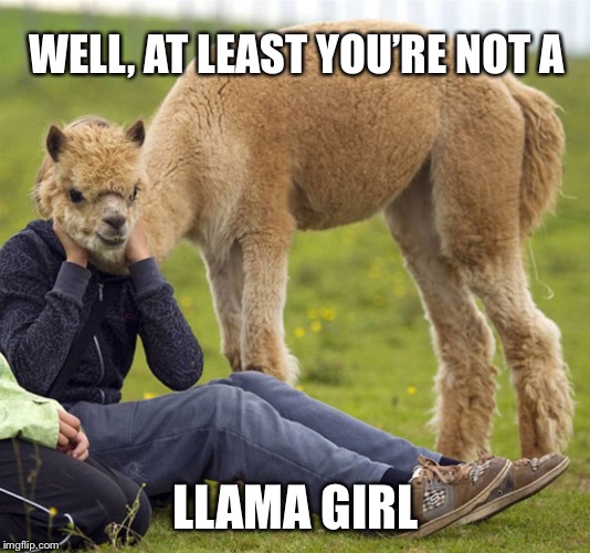 WELL, AT LEAST YOU’RE NOT A LLAMA GIRL | made w/ Imgflip meme maker