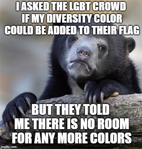 No Tolerance For Me. I Don't Hate Anybody, But I Was Told My Color Is Hate. | I ASKED THE LGBT CROWD IF MY DIVERSITY COLOR COULD BE ADDED TO THEIR FLAG; BUT THEY TOLD ME THERE IS NO ROOM FOR ANY MORE COLORS | image tagged in memes,confession bear | made w/ Imgflip meme maker
