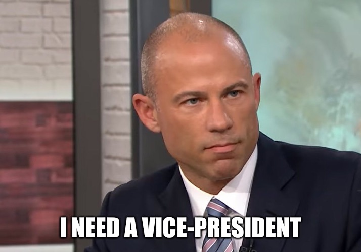 Michael Avenatti Stormy Daniels | I NEED A VICE-PRESIDENT | image tagged in michael avenatti stormy daniels | made w/ Imgflip meme maker