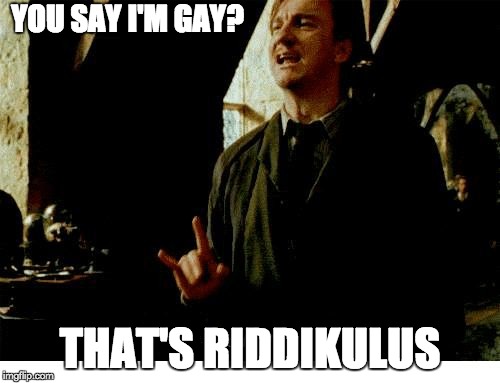 It is riddikulus | YOU SAY I'M GAY? THAT'S RIDDIKULUS | image tagged in lupin riddikkulus | made w/ Imgflip meme maker