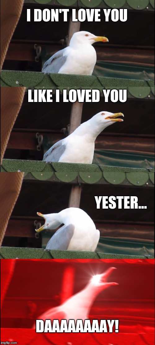 Inhaling Seagull | I DON'T LOVE YOU; LIKE I LOVED YOU; YESTER... DAAAAAAAAY! | image tagged in memes,inhaling seagull | made w/ Imgflip meme maker