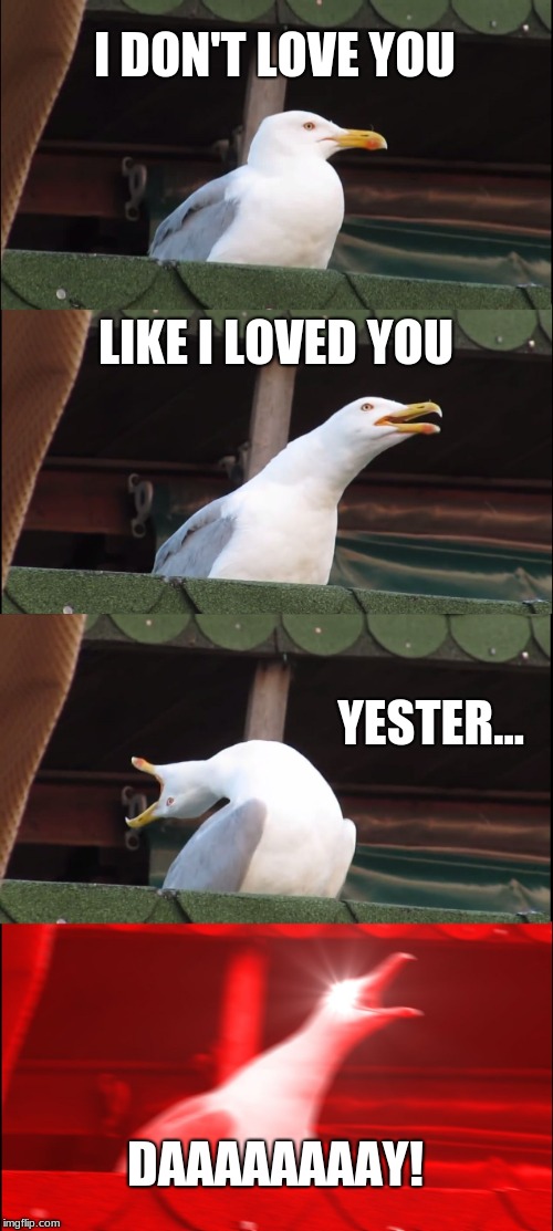 Inhaling Seagull Meme | I DON'T LOVE YOU; LIKE I LOVED YOU; YESTER... DAAAAAAAAY! | image tagged in memes,inhaling seagull | made w/ Imgflip meme maker