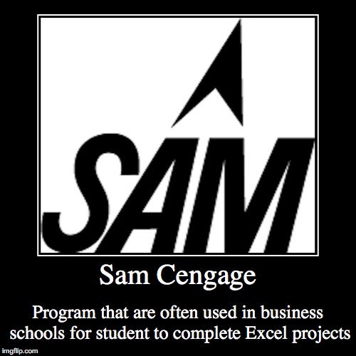 Sam Cengage | image tagged in demotivationals,sam,cengage,college | made w/ Imgflip demotivational maker