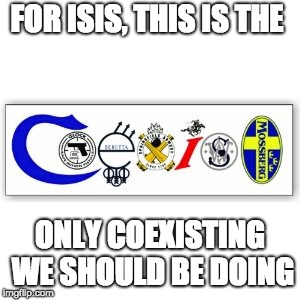 COEXIST with guns | FOR ISIS, THIS IS THE ONLY COEXISTING WE SHOULD BE DOING | image tagged in coexist with guns | made w/ Imgflip meme maker