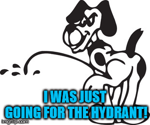 Dog peeing | I WAS JUST GOING FOR THE HYDRANT! | image tagged in dog peeing | made w/ Imgflip meme maker