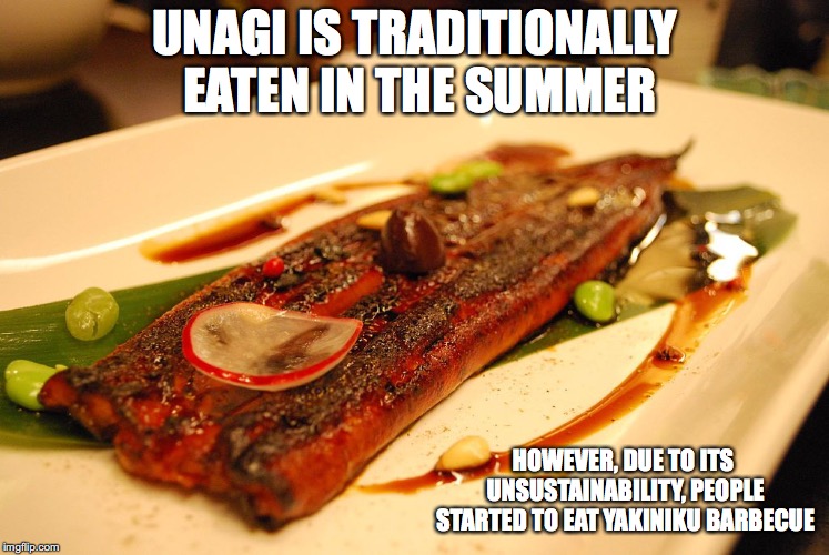 Unagi | UNAGI IS TRADITIONALLY EATEN IN THE SUMMER; HOWEVER, DUE TO ITS UNSUSTAINABILITY, PEOPLE STARTED TO EAT YAKINIKU BARBECUE | image tagged in unagi,eel,memes,japan | made w/ Imgflip meme maker
