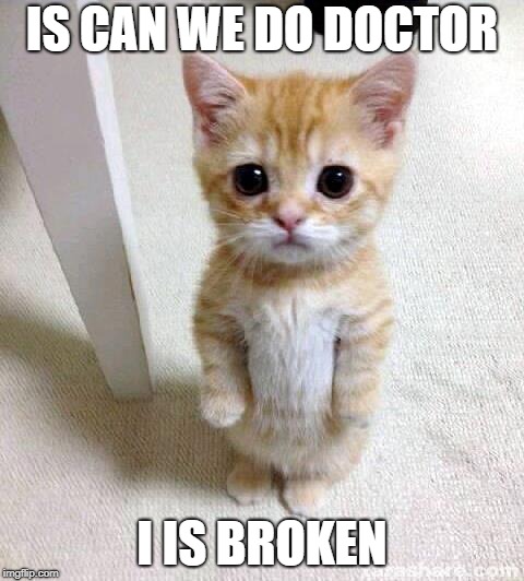 Cute Cat | IS CAN WE DO DOCTOR; I IS BROKEN | image tagged in memes,cute cat | made w/ Imgflip meme maker