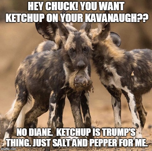 HEY CHUCK! YOU WANT KETCHUP ON YOUR KAVANAUGH?? NO DIANE.  KETCHUP IS TRUMP'S THING. JUST SALT AND PEPPER FOR ME. | image tagged in democrats invite brett kavanaugh for lunch | made w/ Imgflip meme maker