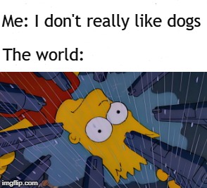 Me: I don't really like dogs; The world: | image tagged in bart simpson | made w/ Imgflip meme maker