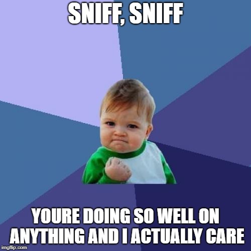 Success Kid | SNIFF, SNIFF; YOURE DOING SO WELL ON ANYTHING AND I ACTUALLY CARE | image tagged in memes,success kid | made w/ Imgflip meme maker