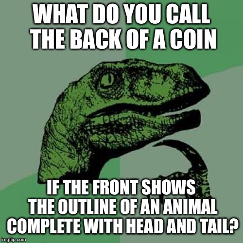 Philosoraptor Meme | WHAT DO YOU CALL THE BACK OF A COIN; IF THE FRONT SHOWS THE OUTLINE OF AN ANIMAL COMPLETE WITH HEAD AND TAIL? | image tagged in memes,philosoraptor | made w/ Imgflip meme maker