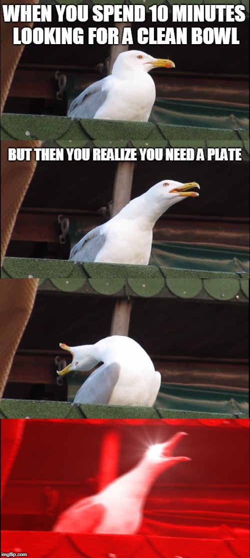 Inhaling Seagull Meme | WHEN YOU SPEND 10 MINUTES LOOKING FOR A CLEAN BOWL; BUT THEN YOU REALIZE YOU NEED A PLATE | image tagged in memes,inhaling seagull | made w/ Imgflip meme maker
