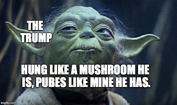 Yoda, Trump | THE TRUMP; HUNG LIKE A MUSHROOM HE IS,
PUBES LIKE MINE HE HAS. | image tagged in yoda,trump,mushroom,mushroom dick,bobcrespodotcom | made w/ Imgflip meme maker