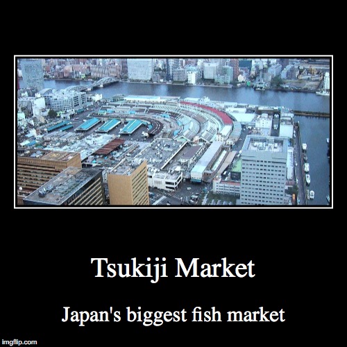 Tsukiji Market | image tagged in demotivationals,tsukiji market,japan | made w/ Imgflip demotivational maker