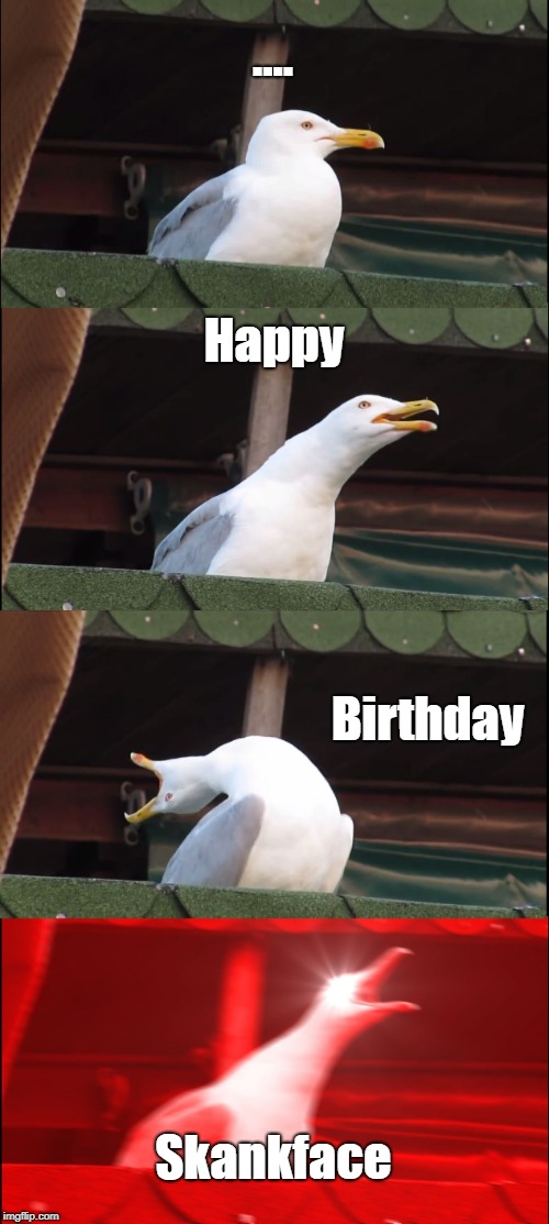 Inhaling Seagull Meme | .... Happy; Birthday; Skankface | image tagged in memes,inhaling seagull | made w/ Imgflip meme maker