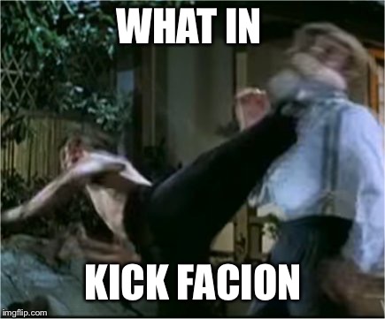 Bruce Lee Roundhouse | WHAT IN; KICK FACION | image tagged in bruce lee roundhouse | made w/ Imgflip meme maker