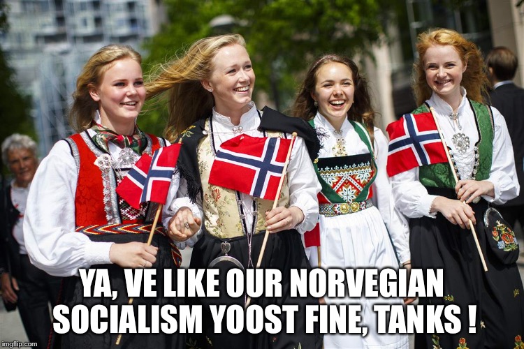 Ve like it here! | YA, VE LIKE OUR NORVEGIAN SOCIALISM YOOST FINE, TANKS ! | image tagged in norway girls | made w/ Imgflip meme maker