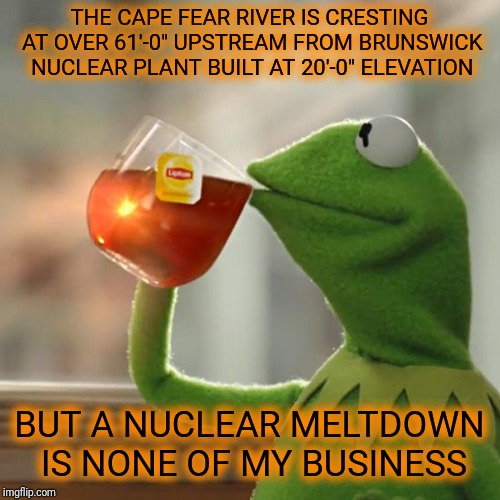 SERIOUSLY FOLKS! Please evacuate, I think big trouble is ahead...God bless. Reports of FEMA pouring in by the 1000's | THE CAPE FEAR RIVER IS CRESTING AT OVER 61'-0" UPSTREAM FROM BRUNSWICK NUCLEAR PLANT BUILT AT 20'-0" ELEVATION; BUT A NUCLEAR MELTDOWN IS NONE OF MY BUSINESS | image tagged in memes,but thats none of my business,kermit the frog,nukes,justjeff,female logic | made w/ Imgflip meme maker