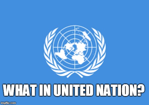 WHAT IN UNITED NATION? | made w/ Imgflip meme maker