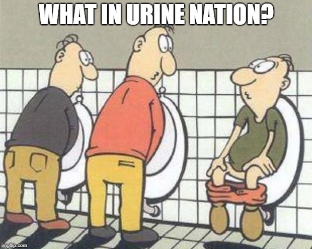 Dumbo |  WHAT IN URINE NATION? | image tagged in dumbo | made w/ Imgflip meme maker