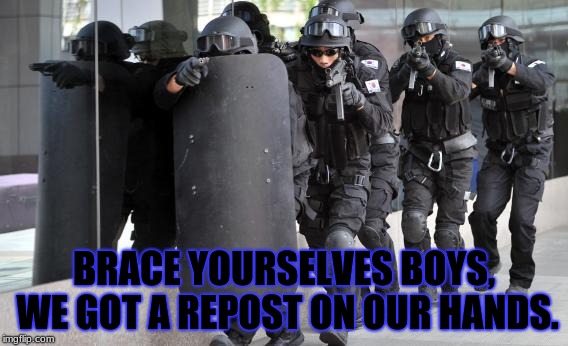 Dont move, you thief! | BRACE YOURSELVES BOYS, WE GOT A REPOST ON OUR HANDS. | image tagged in repost police,reposts | made w/ Imgflip meme maker