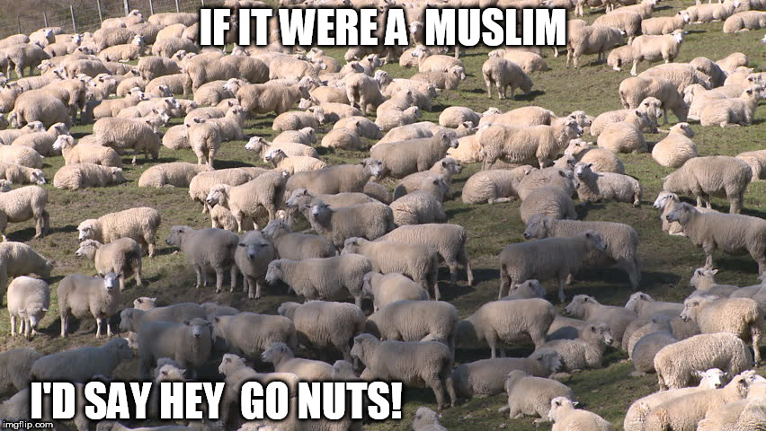 IF IT WERE A  MUSLIM I'D SAY HEY  GO NUTS! | made w/ Imgflip meme maker