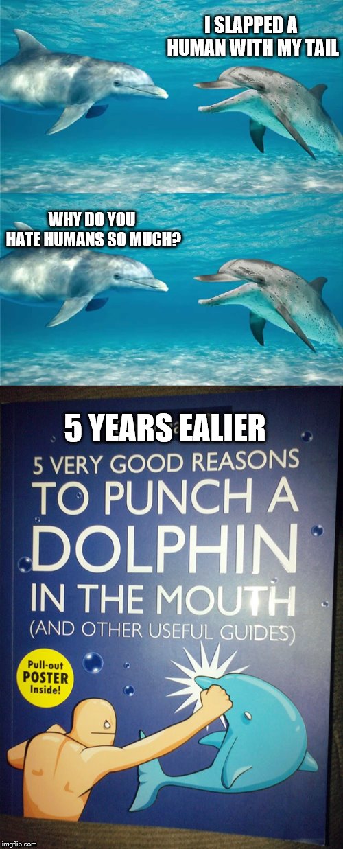 Dulphines | I SLAPPED A HUMAN WITH MY TAIL; WHY DO YOU HATE HUMANS SO MUCH? 5 YEARS EALIER | image tagged in memes,dolphins | made w/ Imgflip meme maker