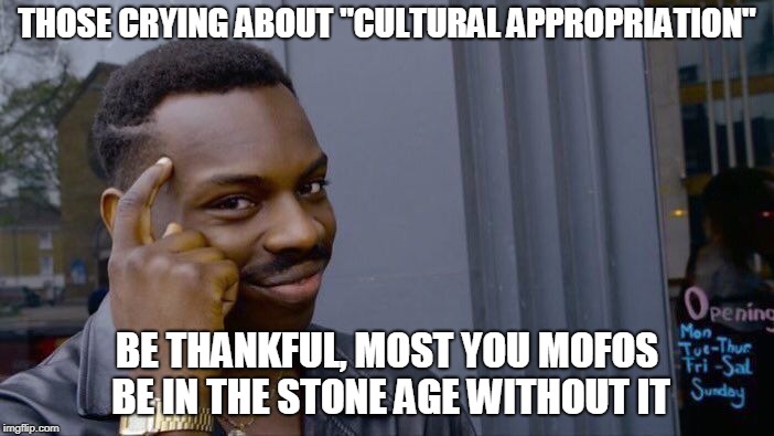 Roll Safe Think About It Meme | THOSE CRYING ABOUT "CULTURAL APPROPRIATION"; BE THANKFUL, MOST YOU MOFOS BE IN THE STONE AGE WITHOUT IT | image tagged in memes,roll safe think about it | made w/ Imgflip meme maker