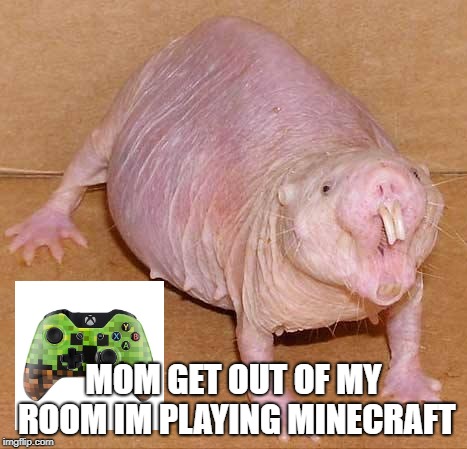 naked mole rat | MOM GET OUT OF MY ROOM IM PLAYING MINECRAFT | image tagged in naked mole rat | made w/ Imgflip meme maker
