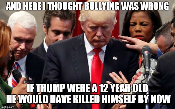 Trump | AND HERE I THOUGHT BULLYING WAS WRONG; IF TRUMP WERE A 12 YEAR OLD HE WOULD HAVE KILLED HIMSELF BY NOW | image tagged in donald trump | made w/ Imgflip meme maker