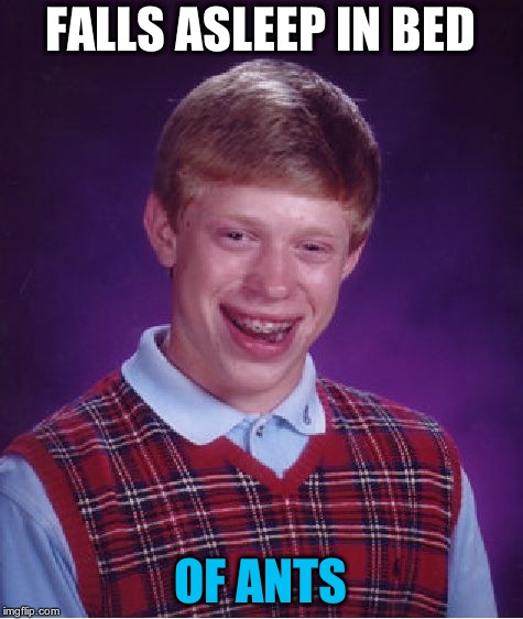 Bad Luck Brian | FALLS ASLEEP IN BED; OF ANTS | image tagged in memes,bad luck brian | made w/ Imgflip meme maker