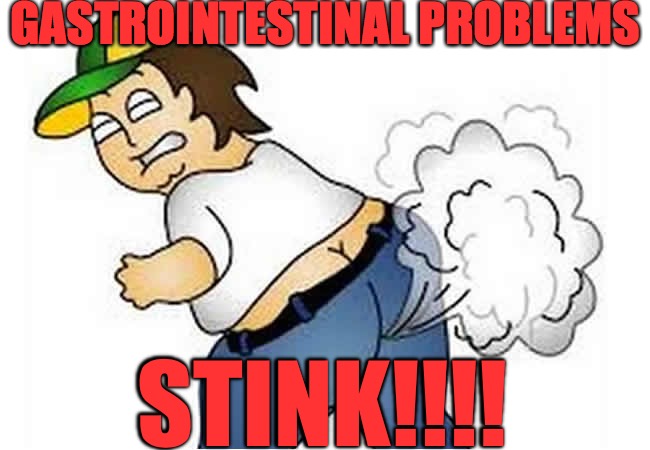 gastrointestinal problems stink!!! | GASTROINTESTINAL PROBLEMS; STINK!!!! | image tagged in farts,fart jokes | made w/ Imgflip meme maker