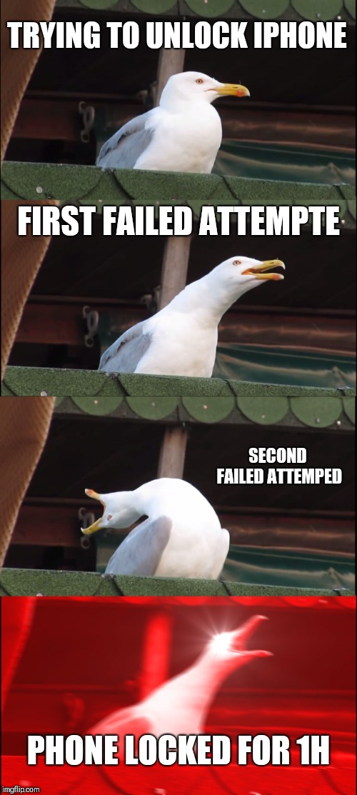 Inhaling Seagull Meme | TRYING TO UNLOCK IPHONE; FIRST FAILED ATTEMPTE; SECOND FAILED ATTEMPED; PHONE LOCKED FOR 1H | image tagged in memes,inhaling seagull | made w/ Imgflip meme maker