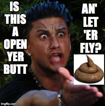 Bad Pun Wtf | AN' LET 'ER FLY? IS THIS A OPEN YER BUTT | image tagged in wtf,memes,is this a pigeon,turd,bad pun | made w/ Imgflip meme maker