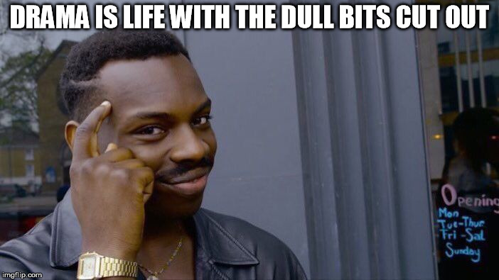 Roll Safe Think About It | DRAMA IS LIFE WITH THE DULL BITS CUT OUT | image tagged in memes,roll safe think about it | made w/ Imgflip meme maker