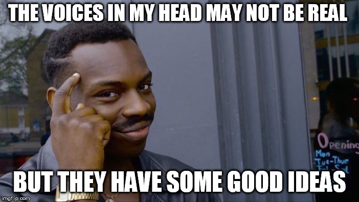 Roll Safe Think About It | THE VOICES IN MY HEAD MAY NOT BE REAL; BUT THEY HAVE SOME GOOD IDEAS | image tagged in memes,roll safe think about it | made w/ Imgflip meme maker