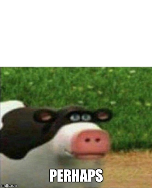 PERHAPS | image tagged in perhaps cow | made w/ Imgflip meme maker