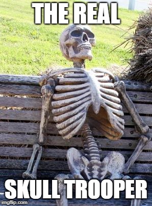Waiting Skeleton Meme | THE REAL; SKULL TROOPER | image tagged in memes,waiting skeleton | made w/ Imgflip meme maker