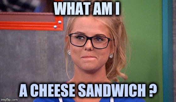 Nicole 's thinking | WHAT AM I A CHEESE SANDWICH ? | image tagged in nicole 's thinking | made w/ Imgflip meme maker