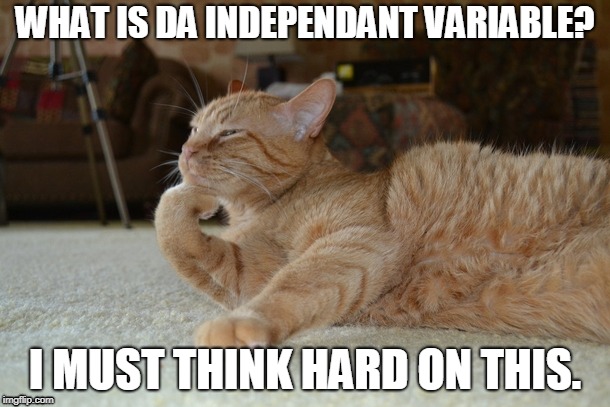 WHAT IS DA INDEPENDANT VARIABLE? I MUST THINK HARD ON THIS. | image tagged in memes,cats | made w/ Imgflip meme maker