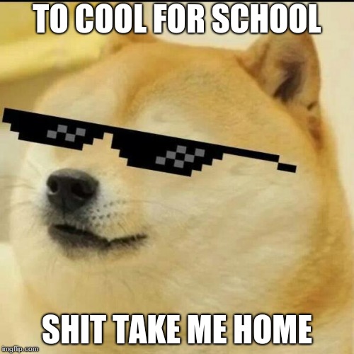 Sunglass Doge | TO COOL FOR SCHOOL; SHIT TAKE ME HOME | image tagged in sunglass doge | made w/ Imgflip meme maker