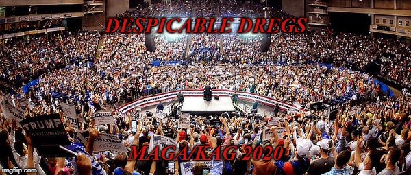 Despicable Dregs | DESPICABLE DREGS; MAGA/KAG 2020 | image tagged in despicable,dregs,maga,kag,2020,election | made w/ Imgflip meme maker