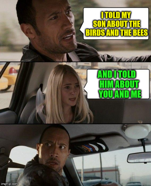 The Rock Driving | I TOLD MY SON ABOUT THE BIRDS AND THE BEES; AND I TOLD   HIM ABOUT    YOU AND ME | image tagged in memes,the rock driving,birds and bees,you and me | made w/ Imgflip meme maker
