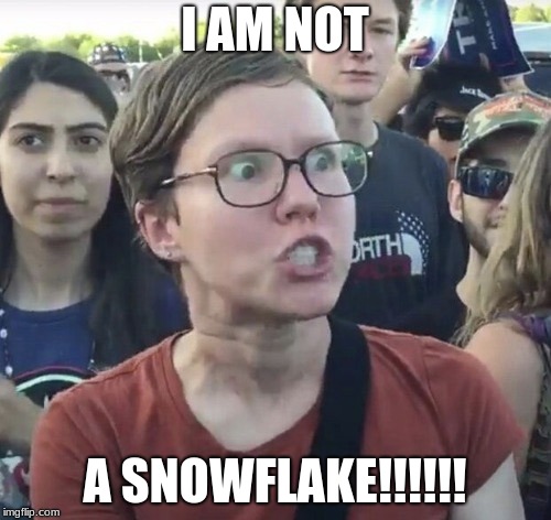 Silly Snowflake | I AM NOT; A SNOWFLAKE!!!!!! | image tagged in triggered feminist | made w/ Imgflip meme maker