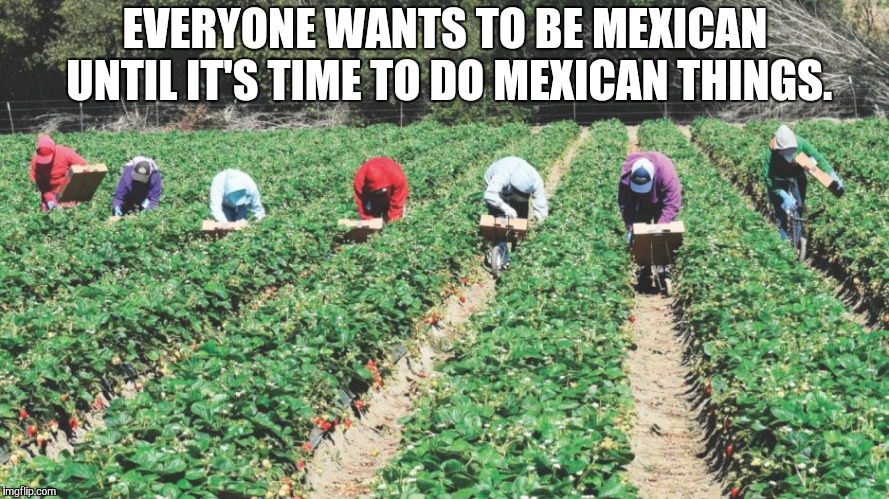 Migrant Workers | EVERYONE WANTS TO BE MEXICAN UNTIL IT'S TIME TO DO MEXICAN THINGS. | image tagged in migrant workers | made w/ Imgflip meme maker