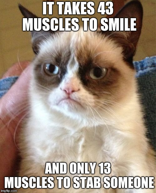Muscle to smile or stab to the toes | IT TAKES 43 MUSCLES TO SMILE; AND ONLY 13 MUSCLES TO STAB SOMEONE | image tagged in memes,grumpy cat,deathmeme89 | made w/ Imgflip meme maker
