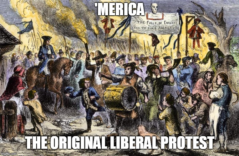 'MERICA THE ORIGINAL LIBERAL PROTEST | made w/ Imgflip meme maker