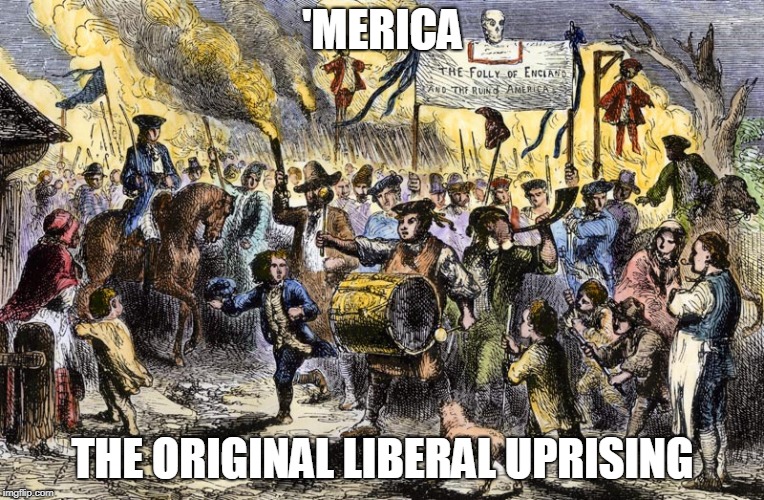 Crack a history book once in a while. | 'MERICA; THE ORIGINAL LIBERAL UPRISING | image tagged in politics,liberals | made w/ Imgflip meme maker