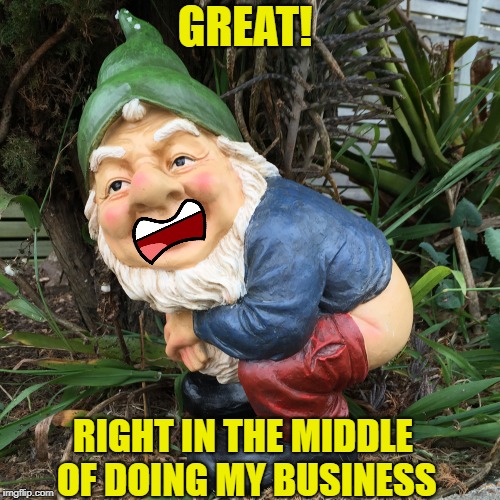 GREAT! RIGHT IN THE MIDDLE OF DOING MY BUSINESS | made w/ Imgflip meme maker