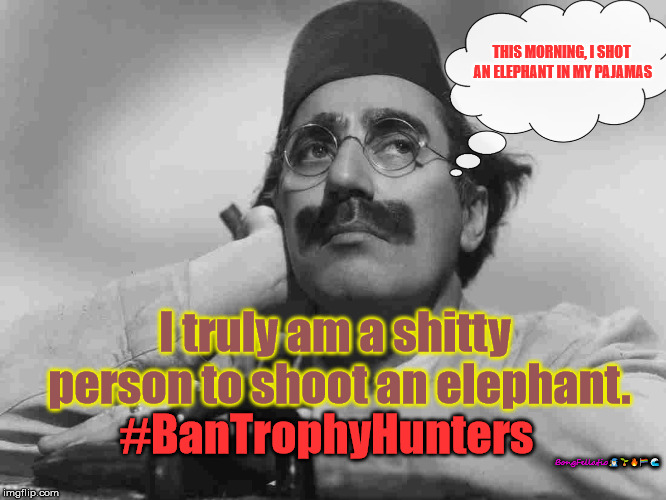 groucho fez | THIS MORNING, I SHOT AN ELEPHANT IN MY PAJAMAS; I truly am a shitty person to shoot an elephant. #BanTrophyHunters; BongFellatio🧙‍♂️🌱🔥🏳‍🌈🌊 | image tagged in groucho fez | made w/ Imgflip meme maker